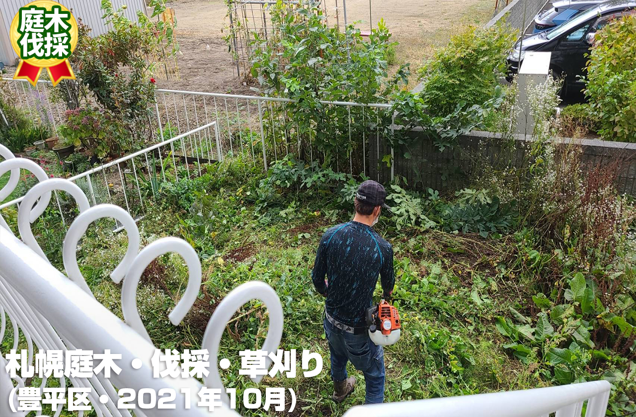 札幌庭木・伐採・草刈り(豊平区・2021年10月)